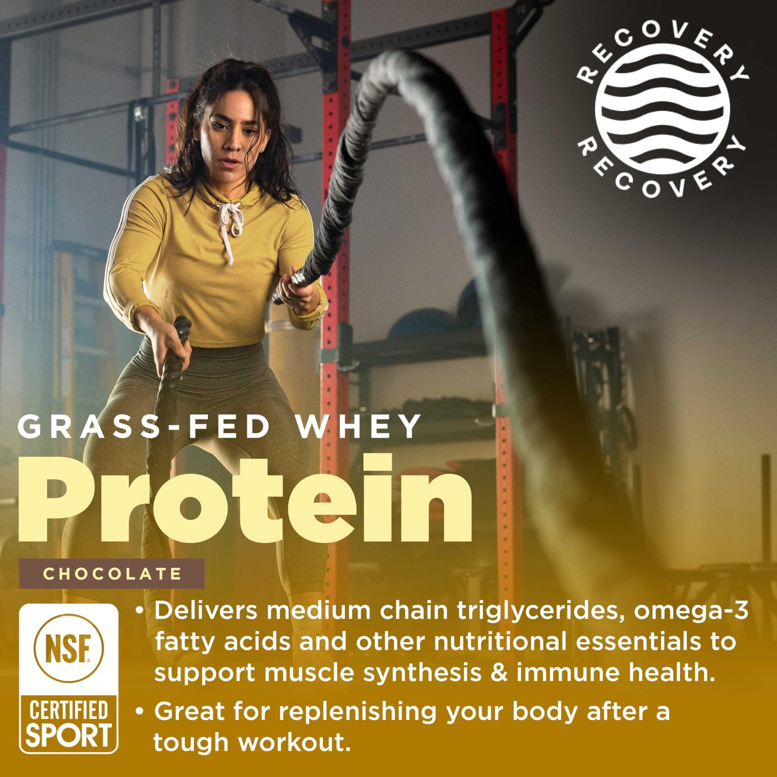 Gnarly Nutrition Chocolate Protein Powder Nsf Sport Certified 25G Protein
