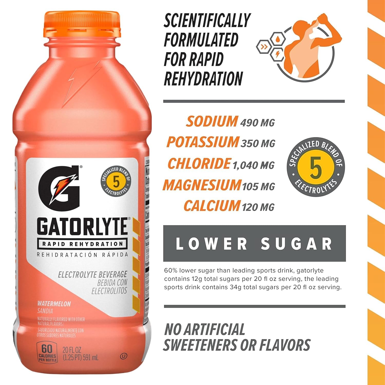 Gatorlyte Rapid Rehydration Electrolyte Drink Watermelon 20oz 12 Pack