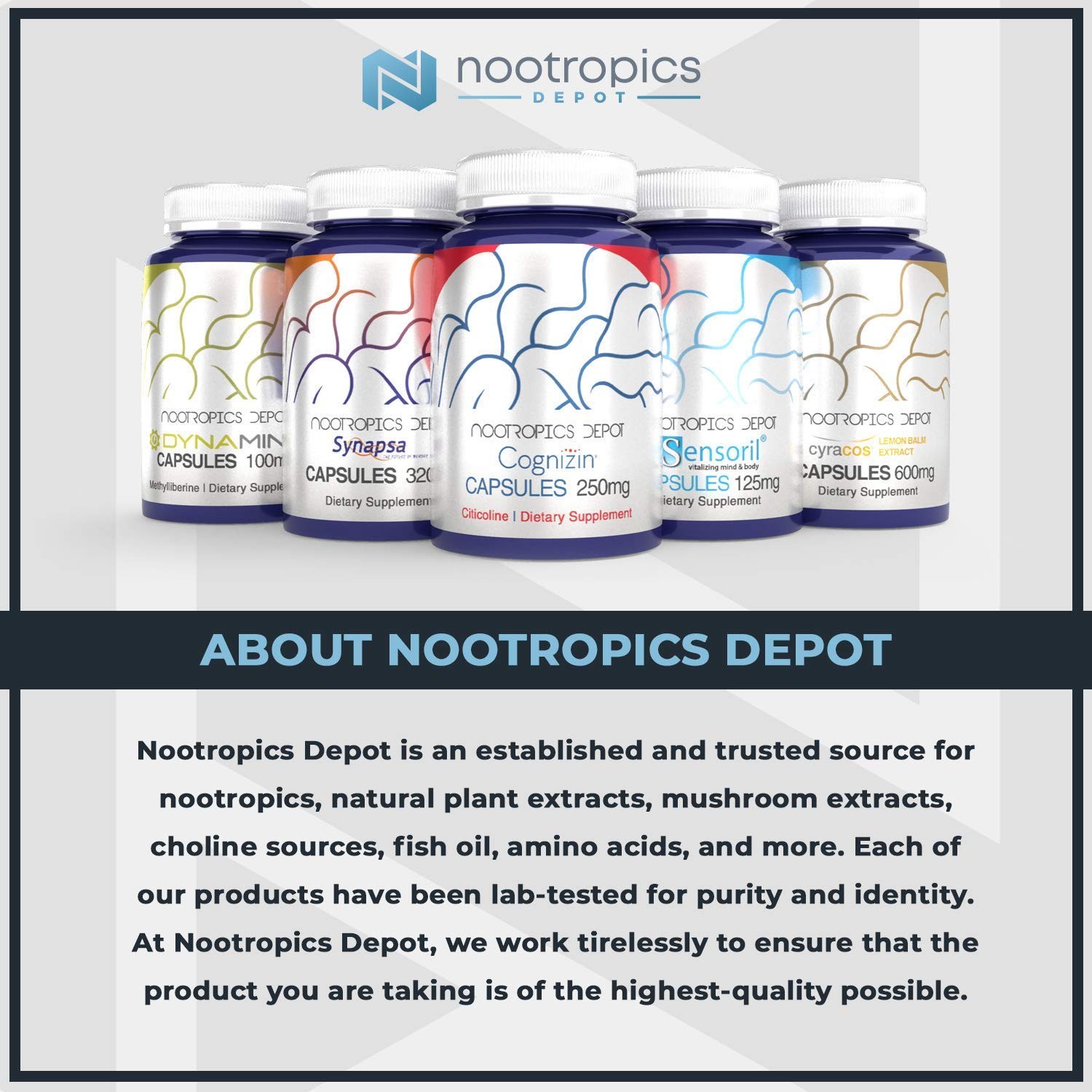 Nootropics Depot Agmatine Sulfate Capsules 250Mg 240 Count Nitric Oxide Pump
