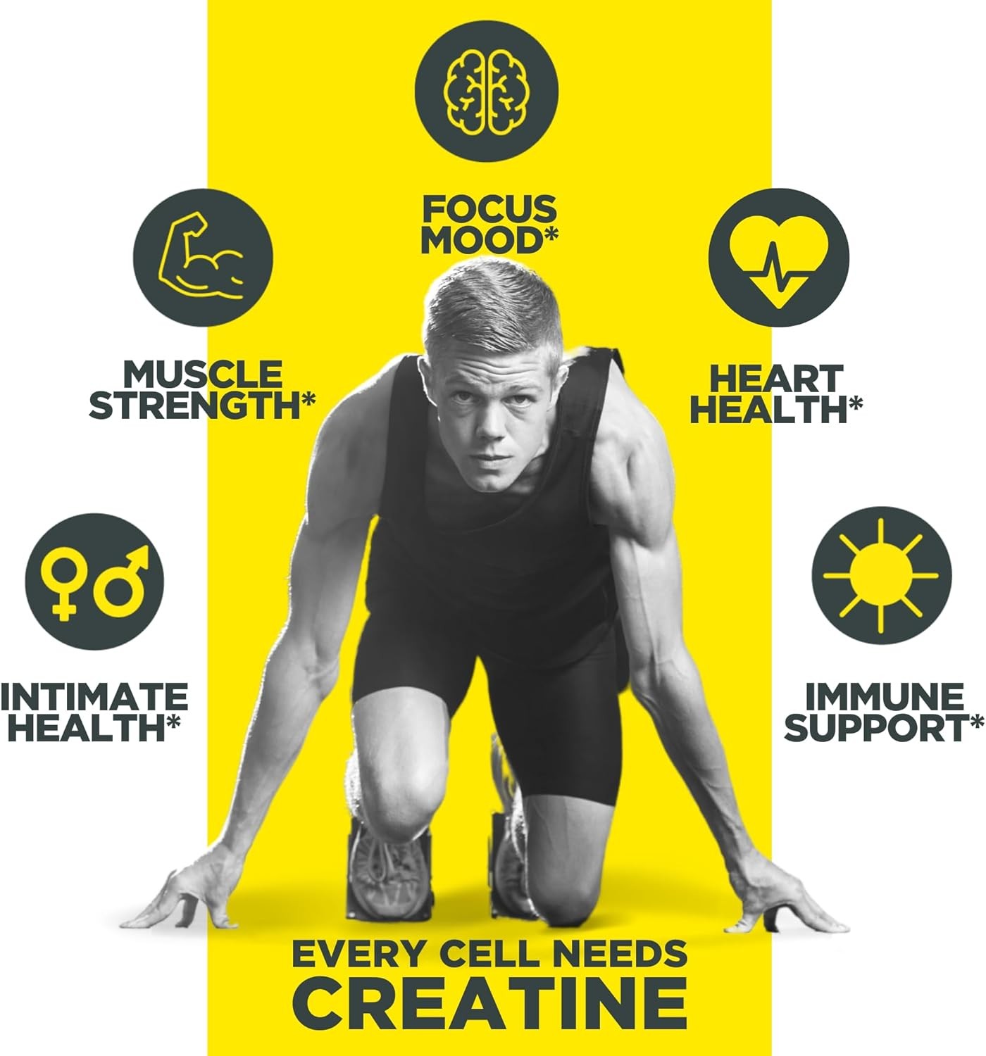 CON-CRET Creatine HCl Powder | Muscle, Cognitive, 64 Servings (Pack of 1)