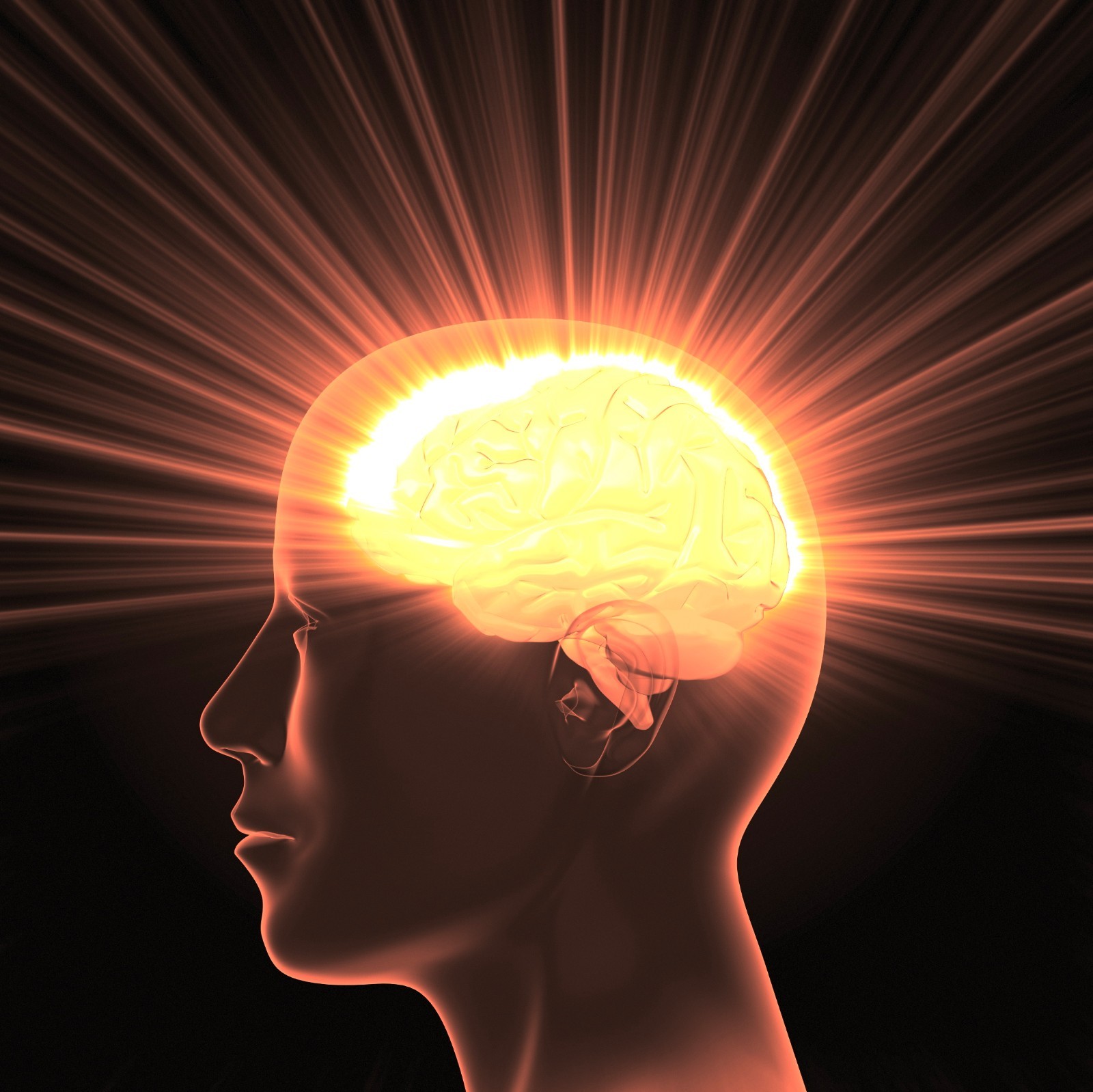 Antioxidant powder BRAIN & MEMORY BOOSTER COMPLEX immune support organic 3 Bot
