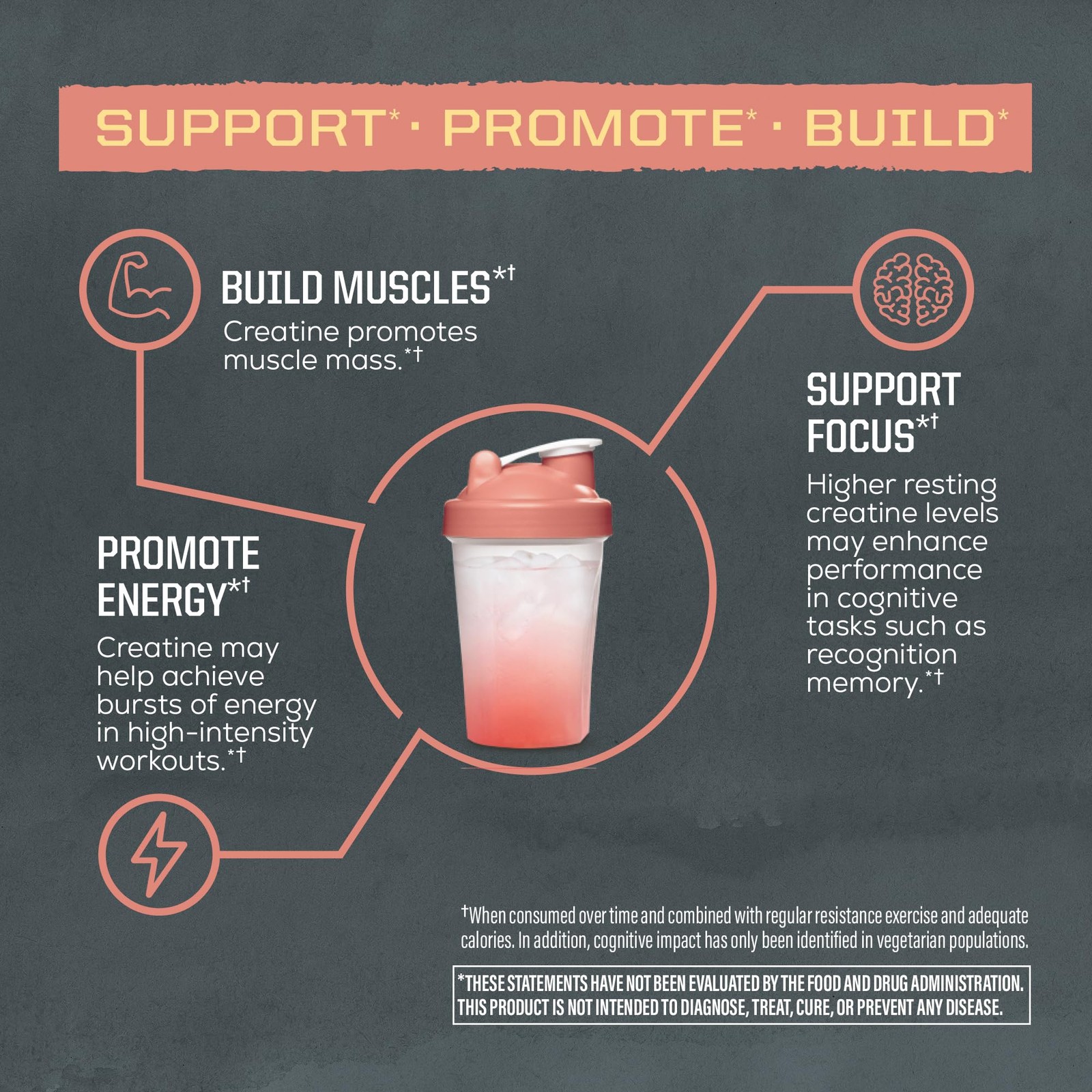 Creatine Monohydrate Powder Micronized PreWorkout Recovery Supplement | Suppo…