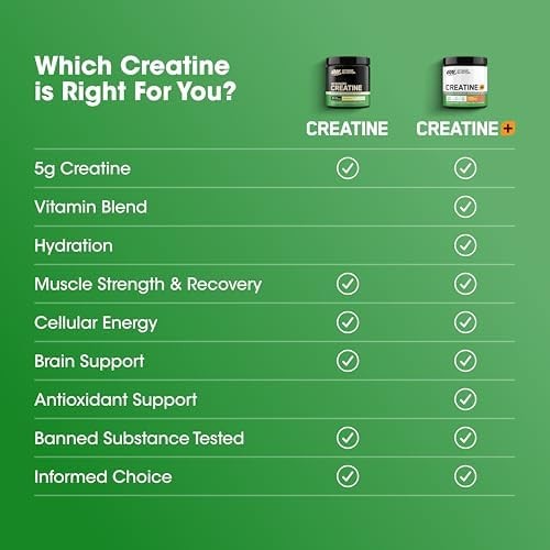 Optimum Nutrition Creatine, Micronized Creatine Monohydrate Powder, Supports