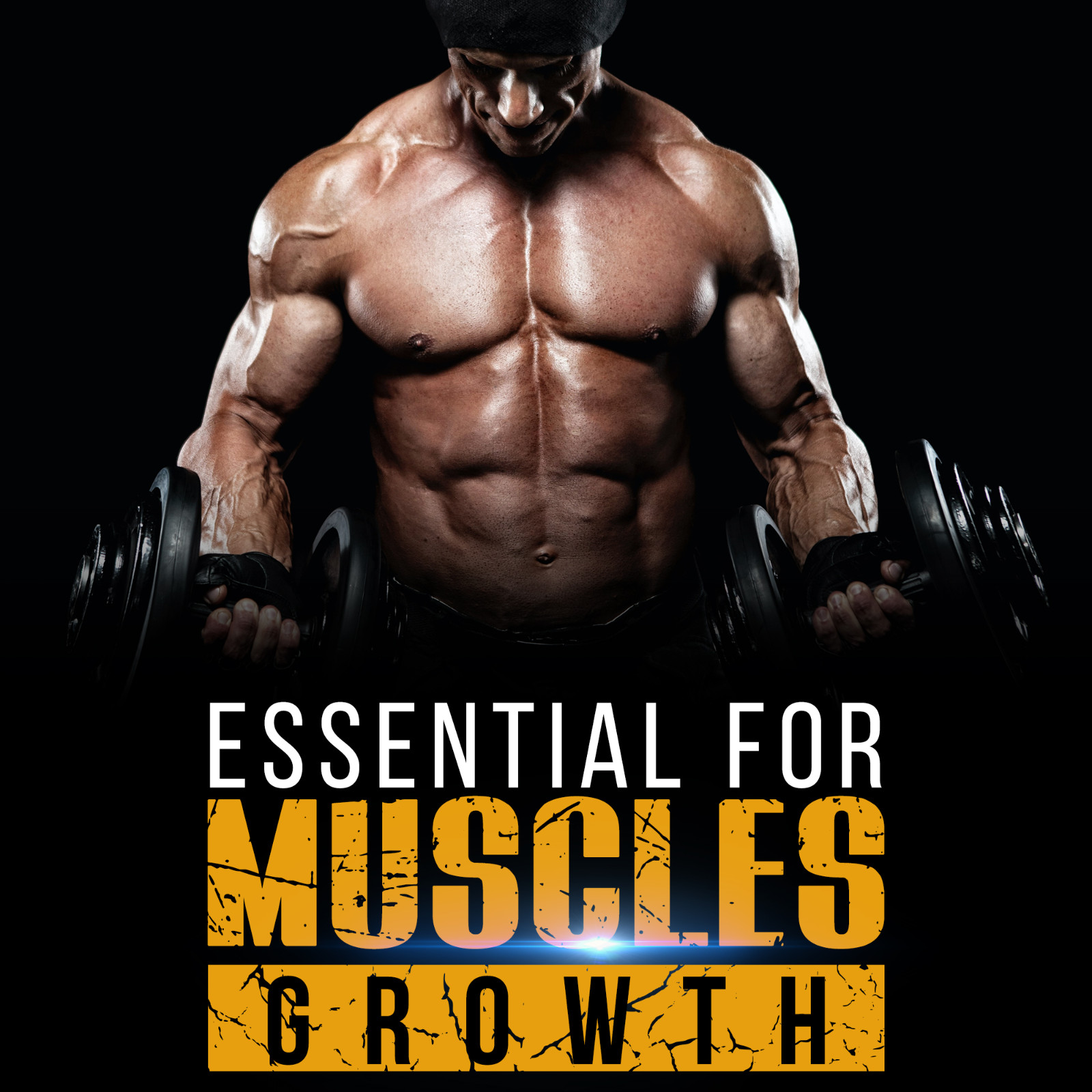 2 Bottles Testosterone Booster Alpha Fuel XT Naturally Increases Strength