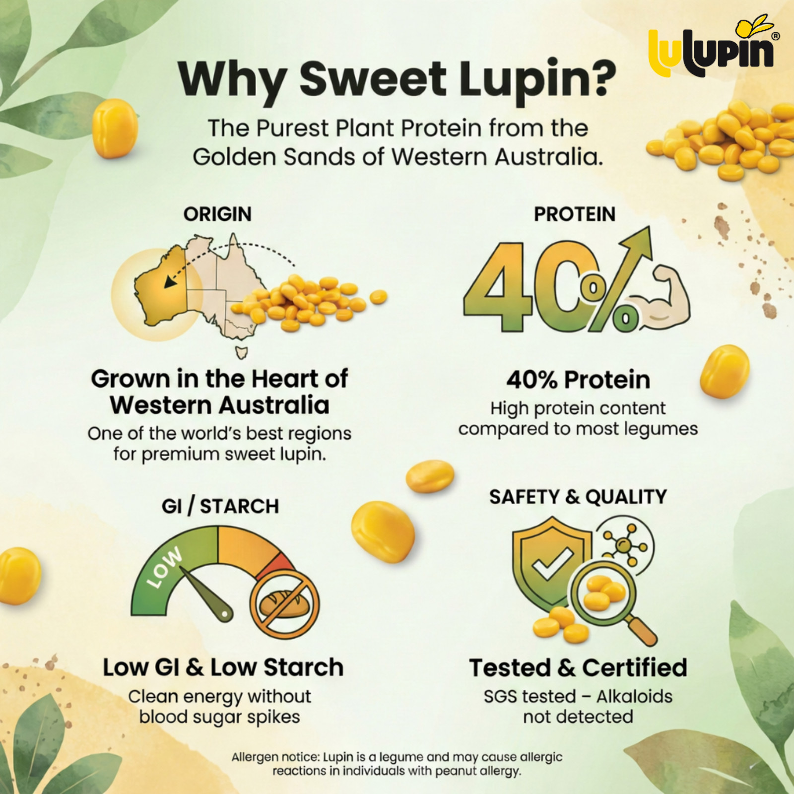Western Australian Sweet Lupin Plant Protein Powder 850g Natural Vegan Keto