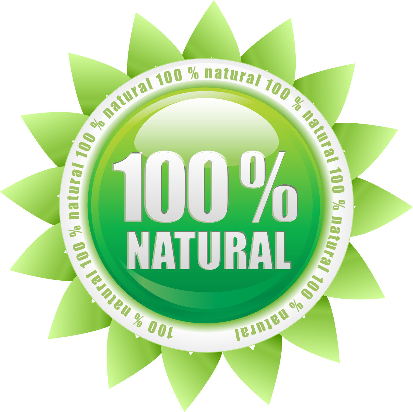 liver support blend – BLACK SEED OIL – anti inflammatory supplement 2 BOTTLE