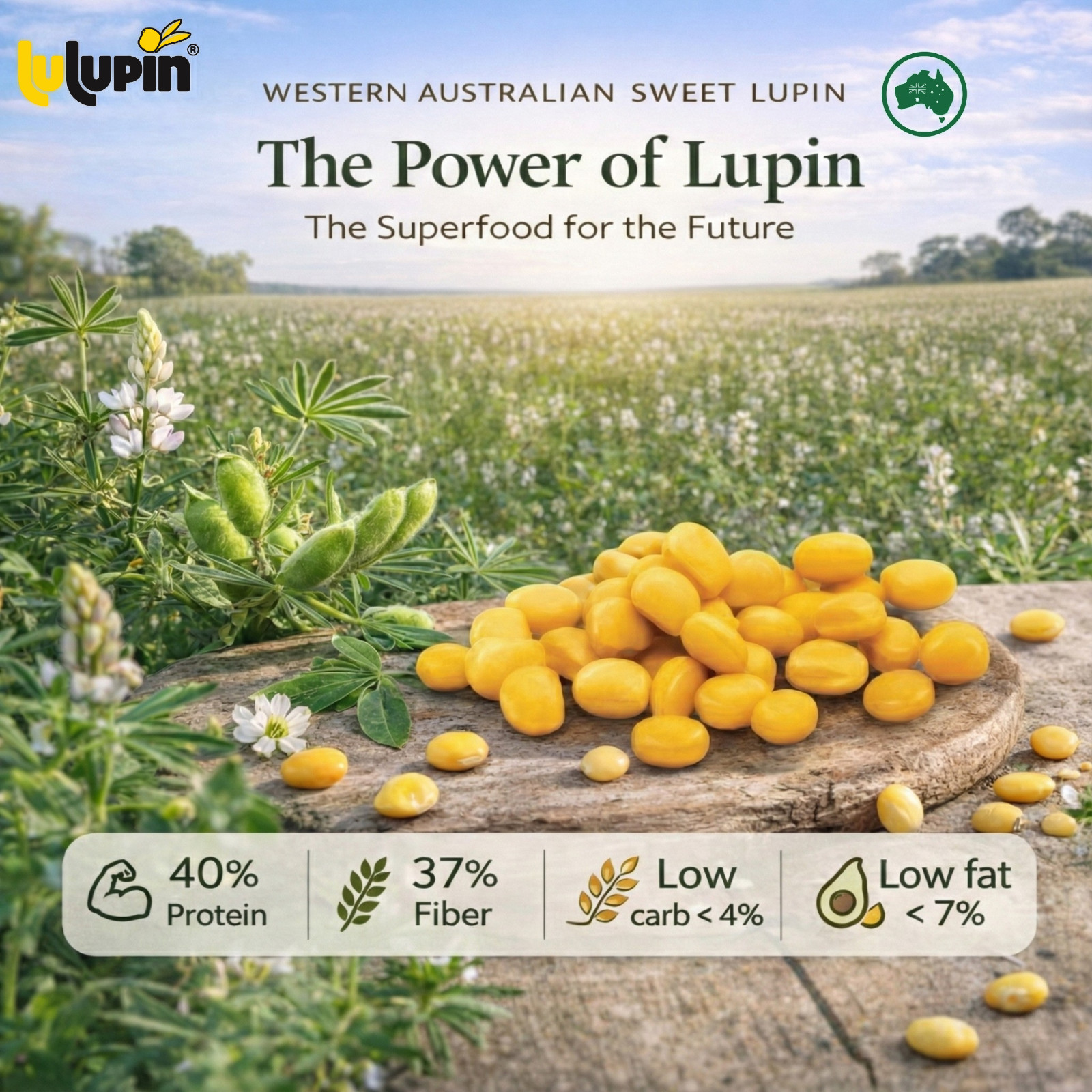 Western Australian Sweet Lupin Plant Protein Powder 850g Natural Vegan Keto