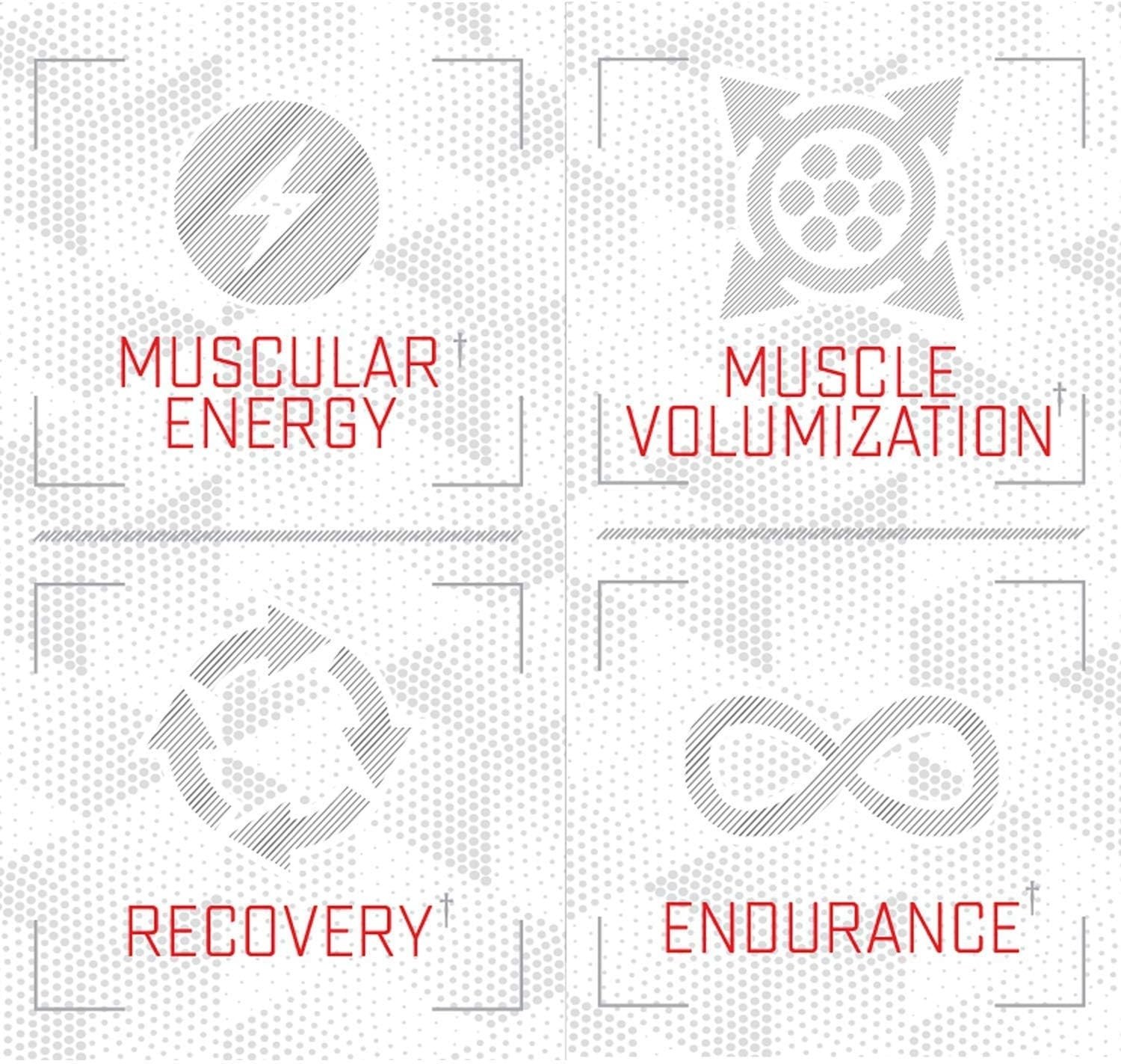 Purus Labs Citrulline Malate Powder – Strength & Volumization – 100 Servings