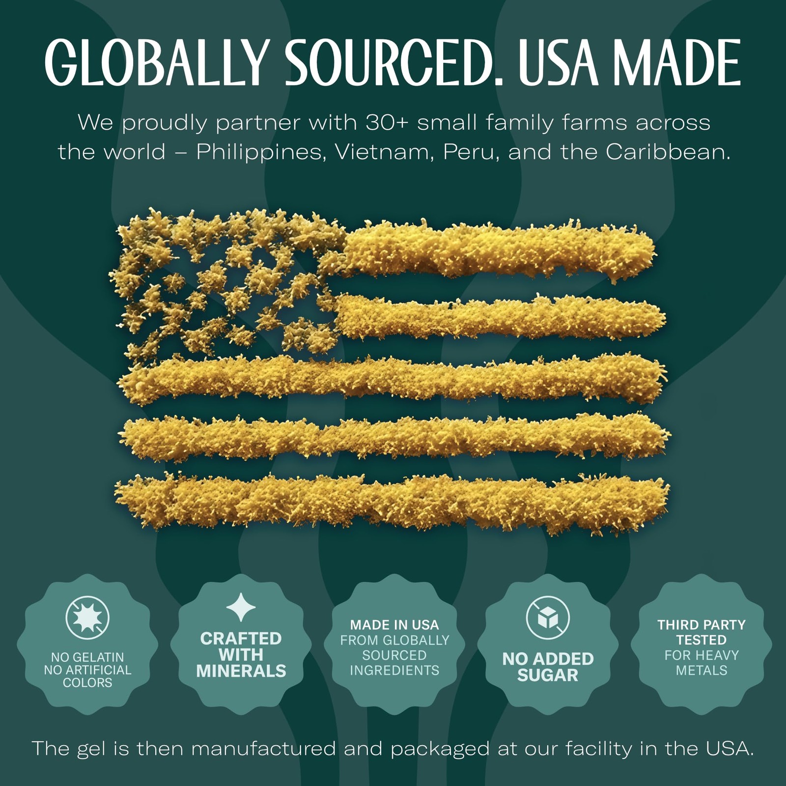 Sea Moss Gel – USA Made Wildcrafted Seamoss, Mango/Pineapple, Fruits & Veggie…