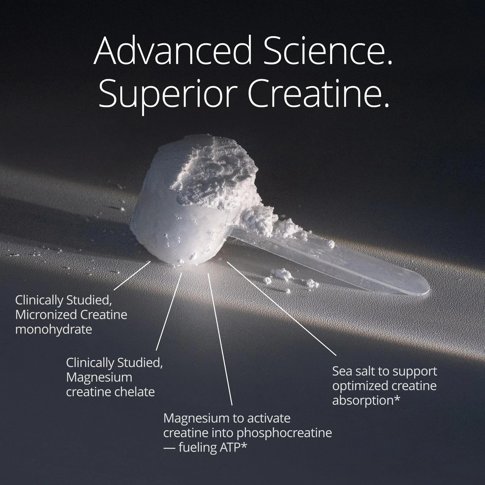Qualia Creatine | Advanced Creatine Complex | 2 Sources + Magnesium | Optimiz…