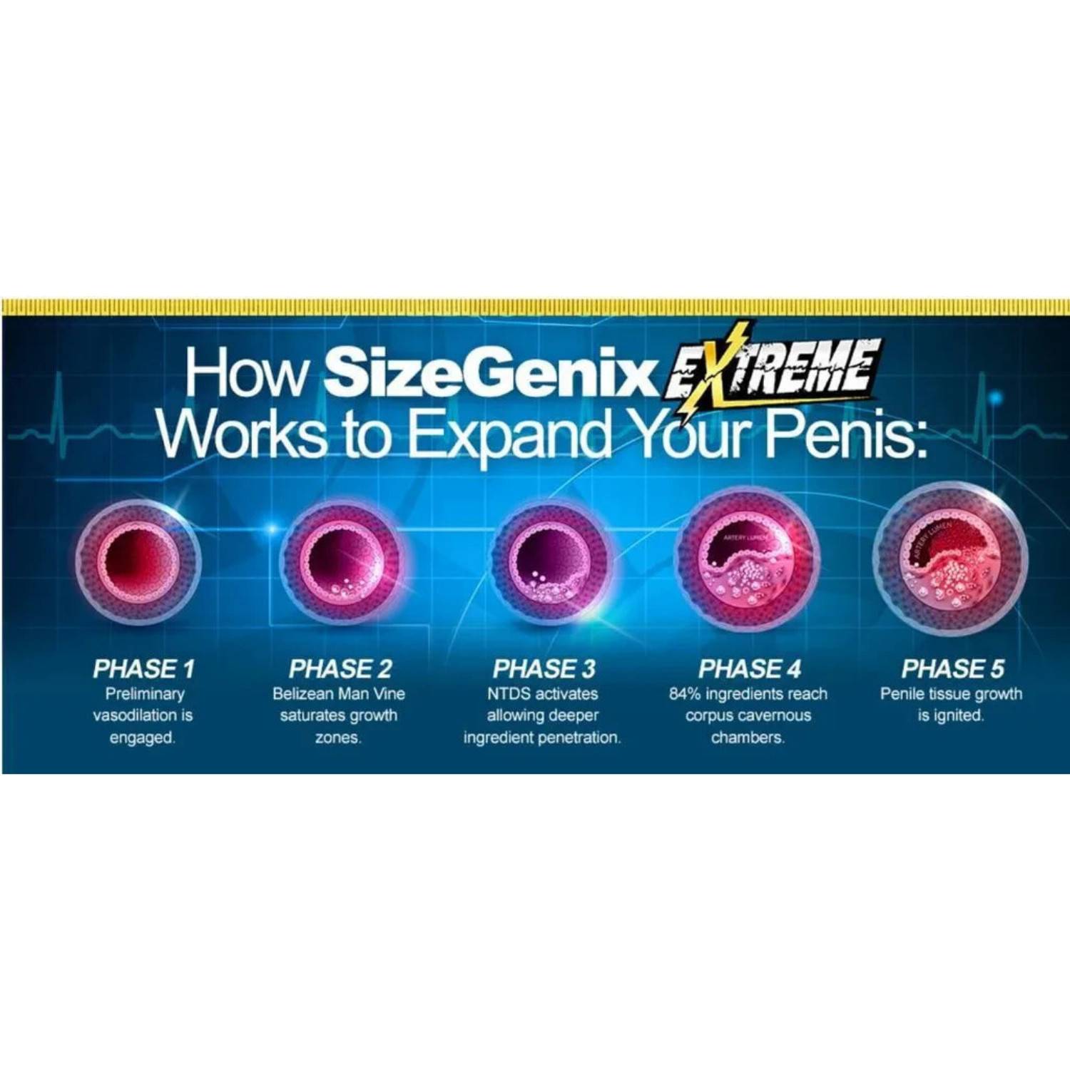 SizeGenix Men’s Health Supplement 1 Month Supply Boost Energy US Shipping – New