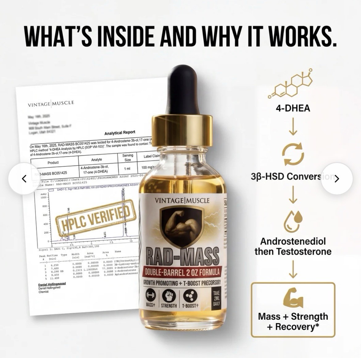 Rad Mass 4DHEA 2 Step Precursor Test Base Muscle Gains By Vintage Muscle 💪🦍