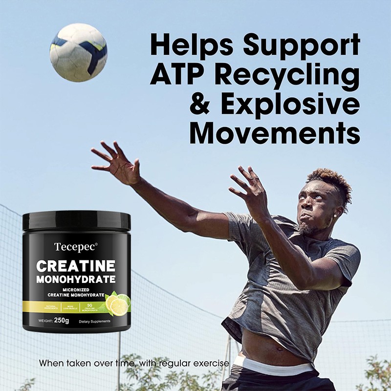 Creatine Monohydrate Powder Improve Muscle Strength Enhance Cognitive Function
