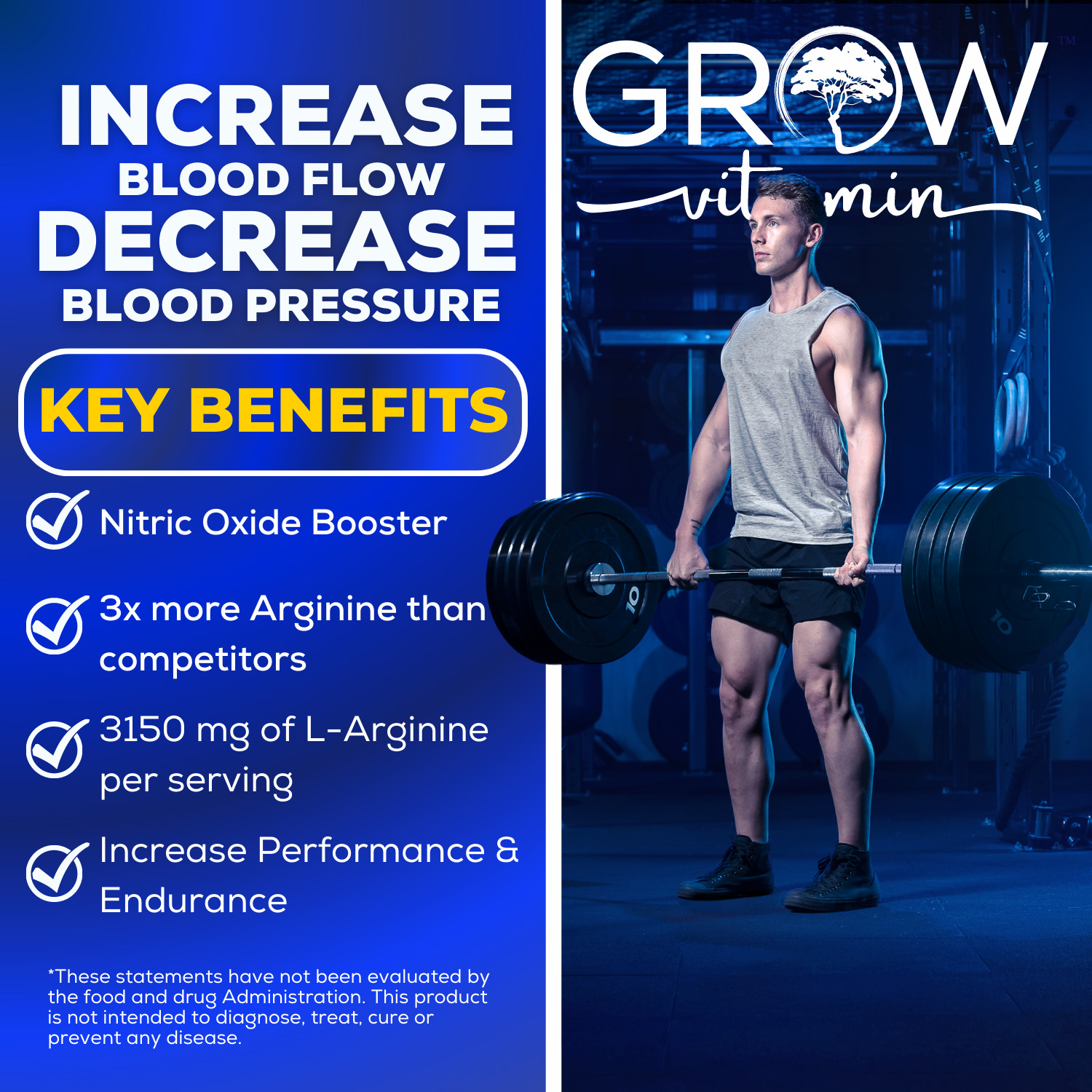 NITRO PUMP Nitric Oxide Pre Workout Muscle Growth + EXPLOSIVE ENDURANCE Tablets