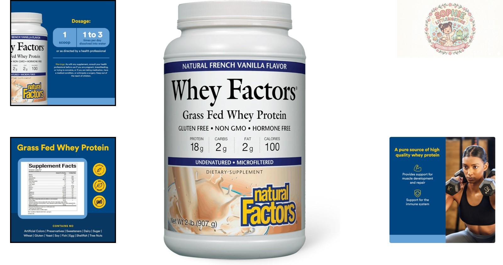 Whey Factors French Vanilla Protein – 18g Protein Per Serving, Easy Mix