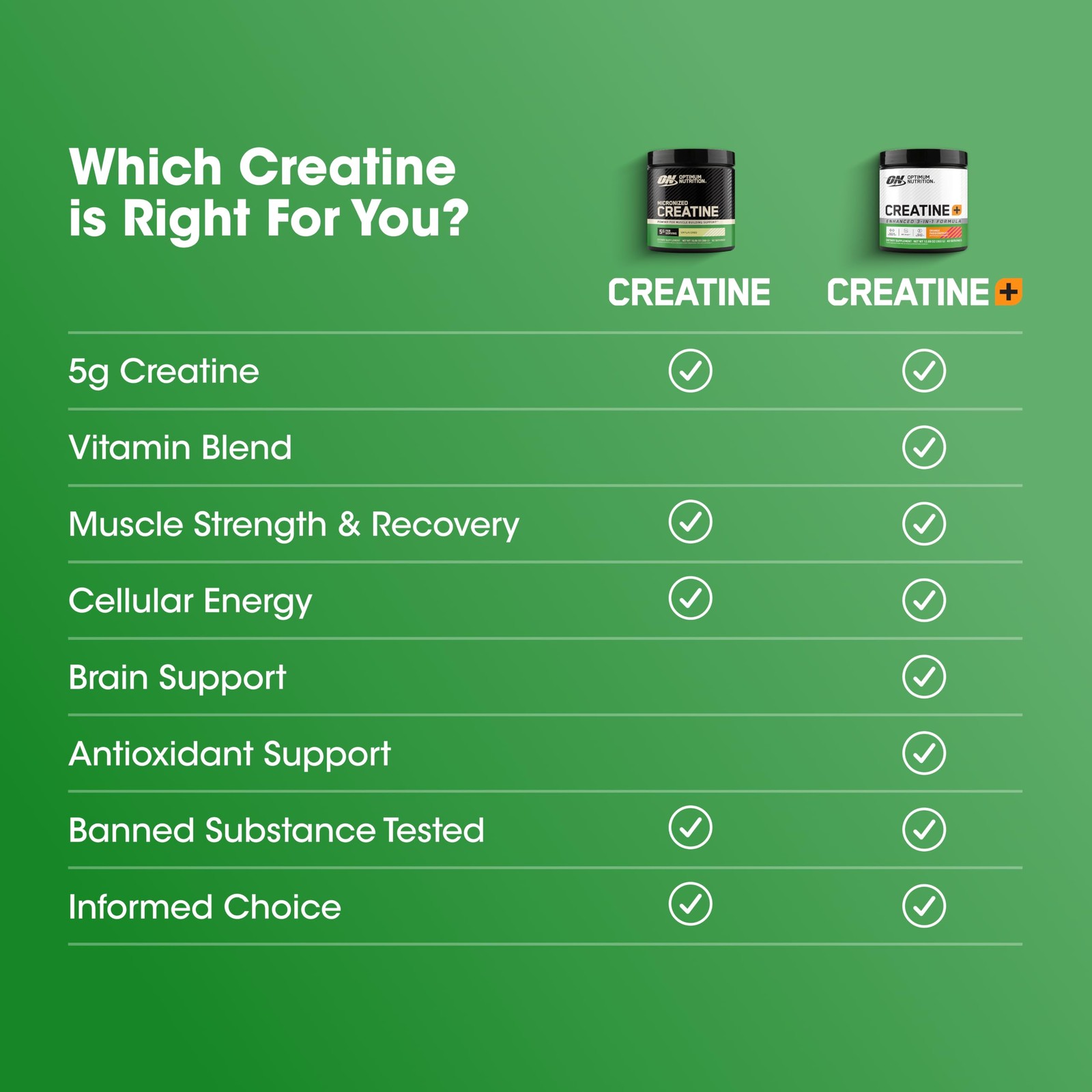Optimum Nutrition Creatine, Micronized 60 Servings (Pack of 1), Unflavored