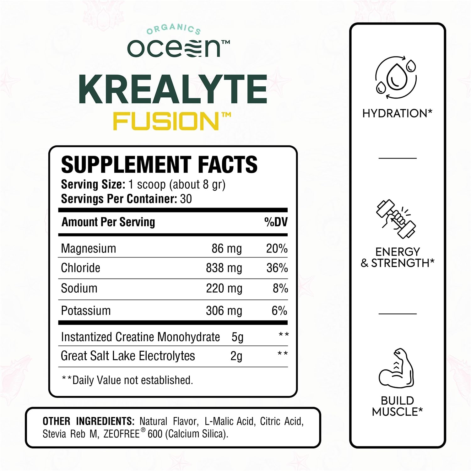 Organics Ocean Krealyte Fusion – Instantized Creatine 9.17 Ounce (Pack of 1)