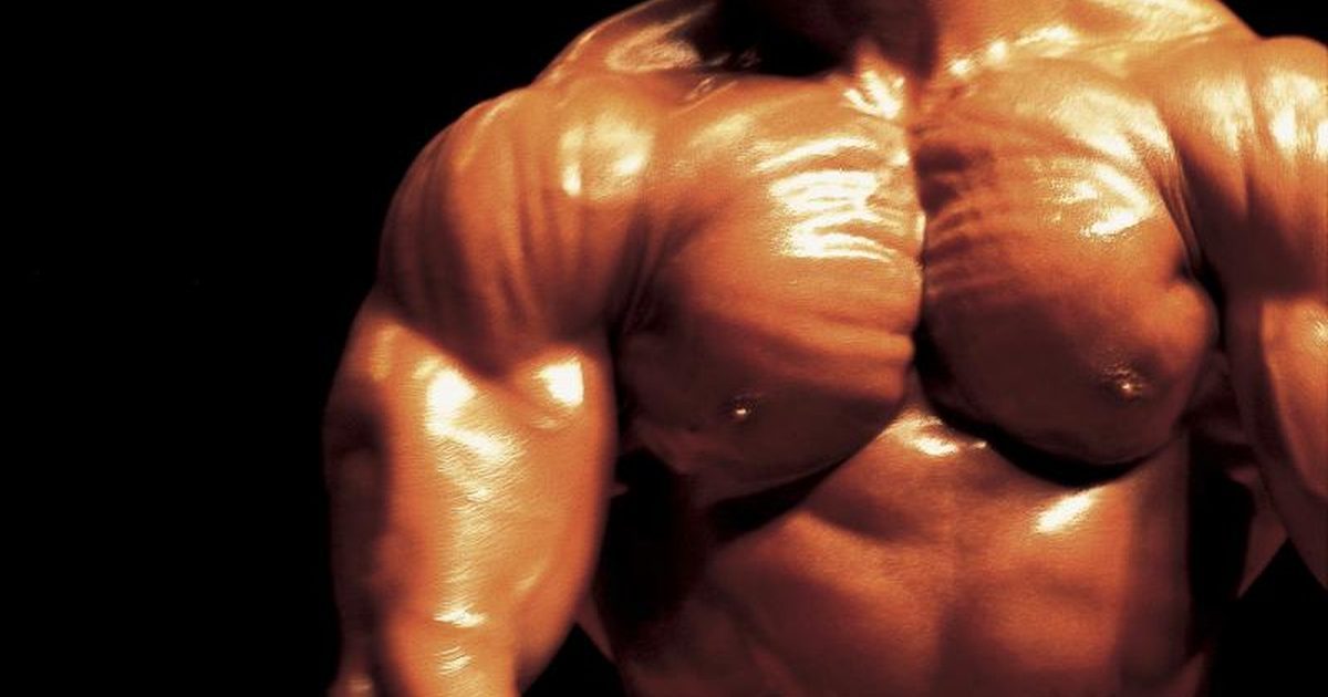 Fat Fighter – MUSCLE MAKER PLUS – Vitamin B-6 1B