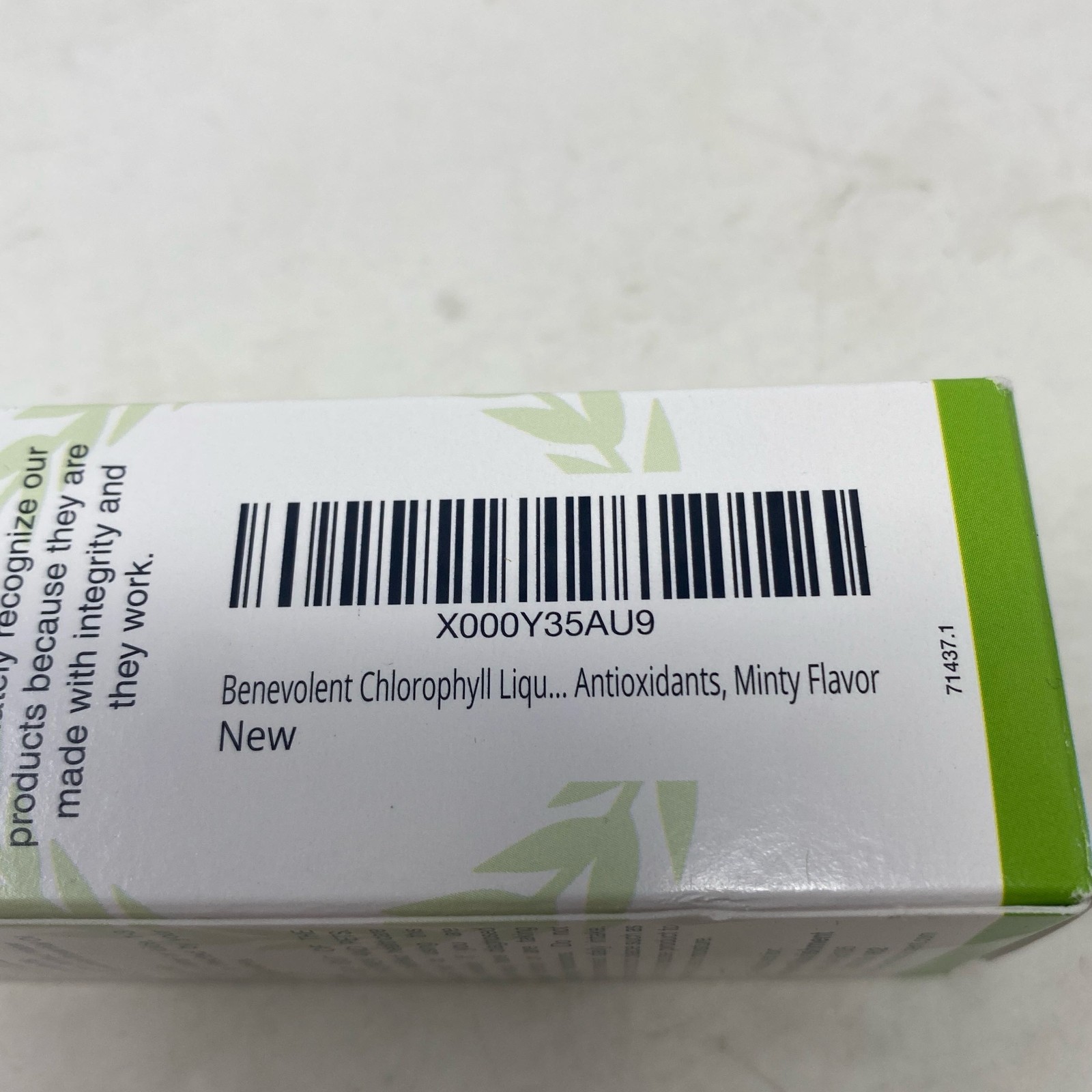 Benevolent Nourishment Liquid Chlorophyll, Mint, 2 fl oz