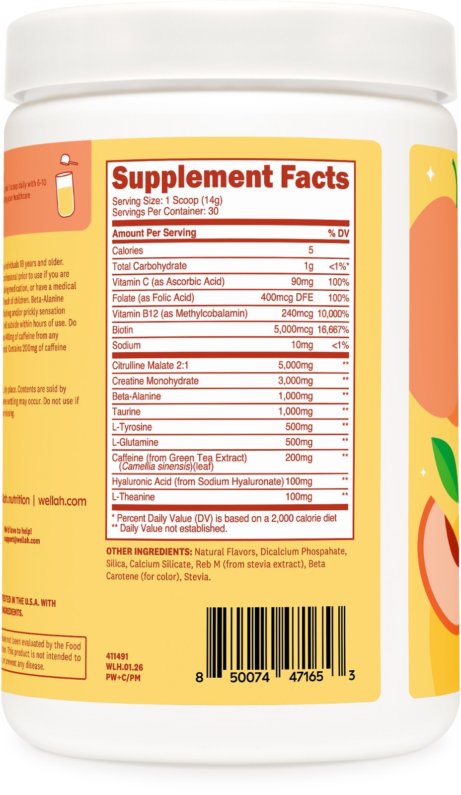 Wellah Pre-Workout + Creatine Powder (30 Servings) Peach Mango – 200mg Caffeine