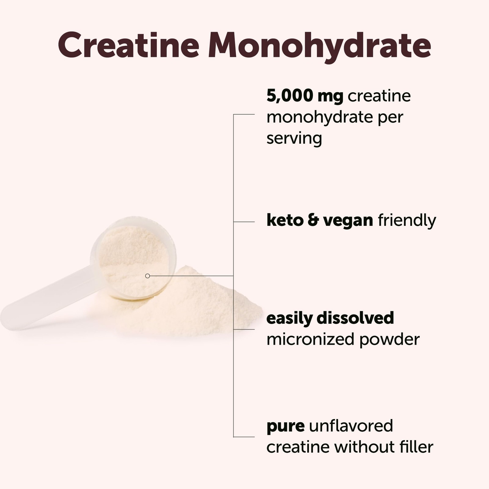 Micro Ingredients Creatine Monohydrate Powder 1 kg 2.2 Lbs, 5000mg Per Serv, …