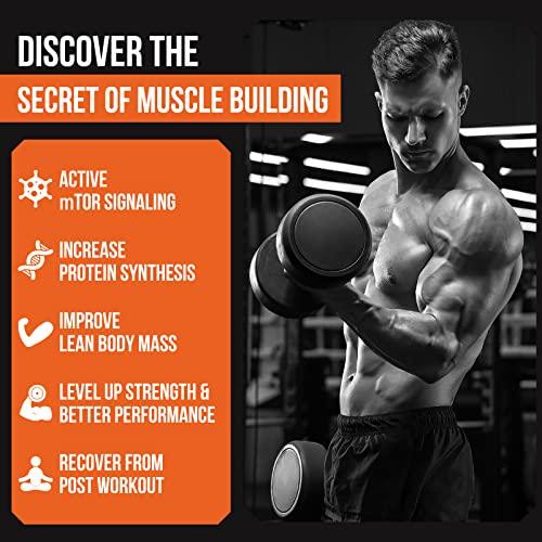 Thalacy 2000mg Liposomal Phosphatidic Acid Muscle Builder (PA), High Absorption