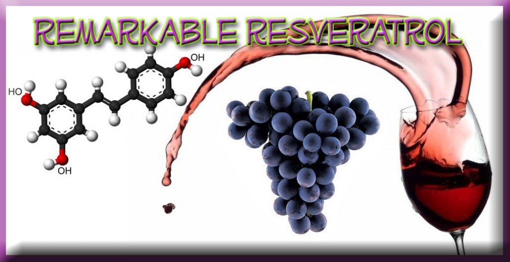 Antioxidant powder – GRAPE SEED EXTRACT – RESVERATROL 1200 COMBO 2B – resveratro
