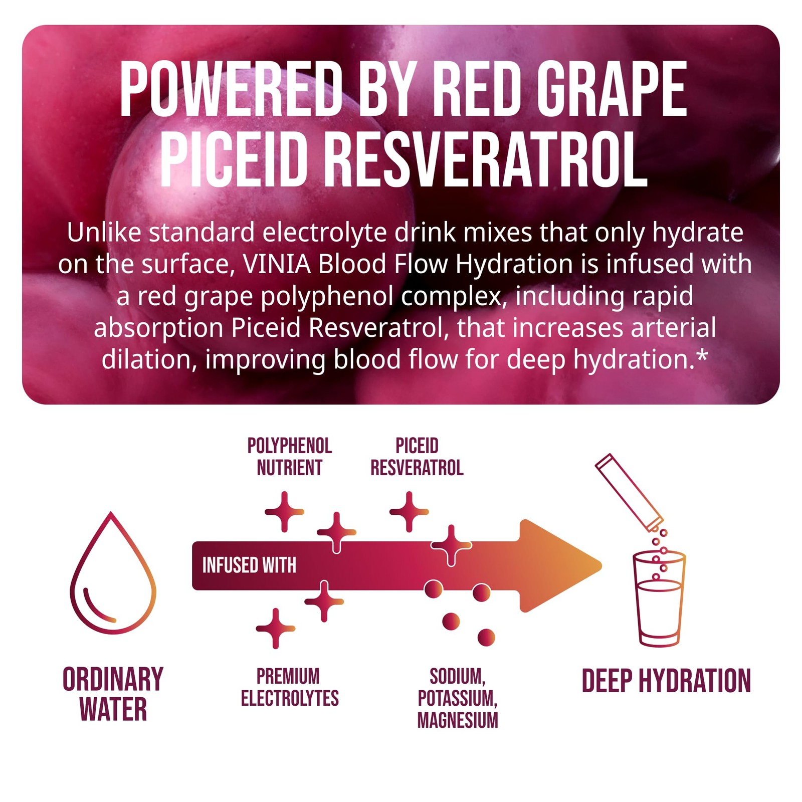 VINIA Resveratrol Electrolyte Hydration Powder Mix | Boost Blood 30 Sticks