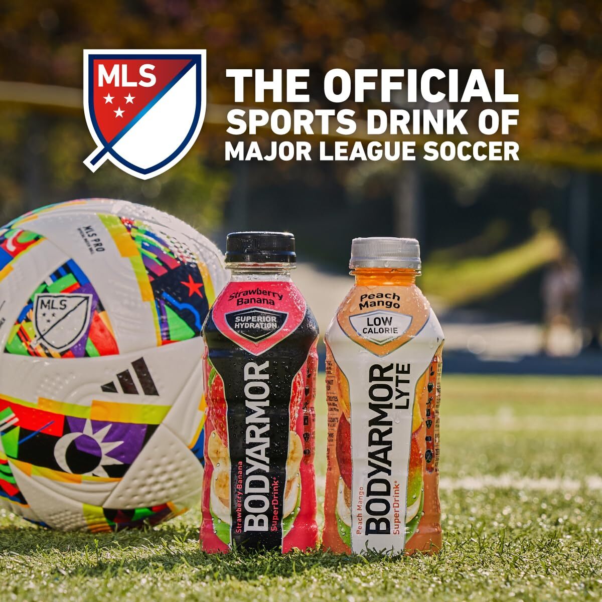 Lyte Sports Drink Low-calorie Sports Beverage, Blueberry Pomegranate,
