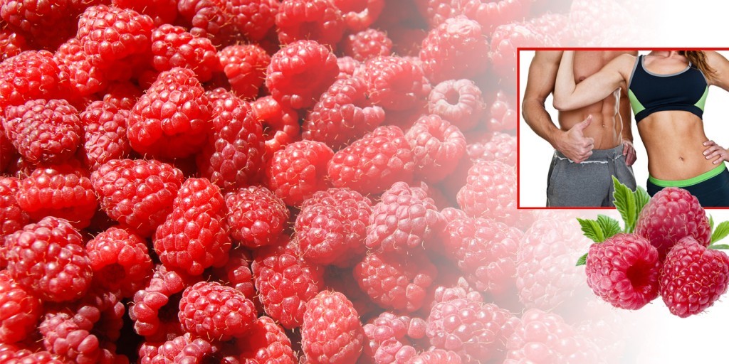 Immune support supplement – RASPBERRY KETONES – CLA COMBO – raspberry ketone