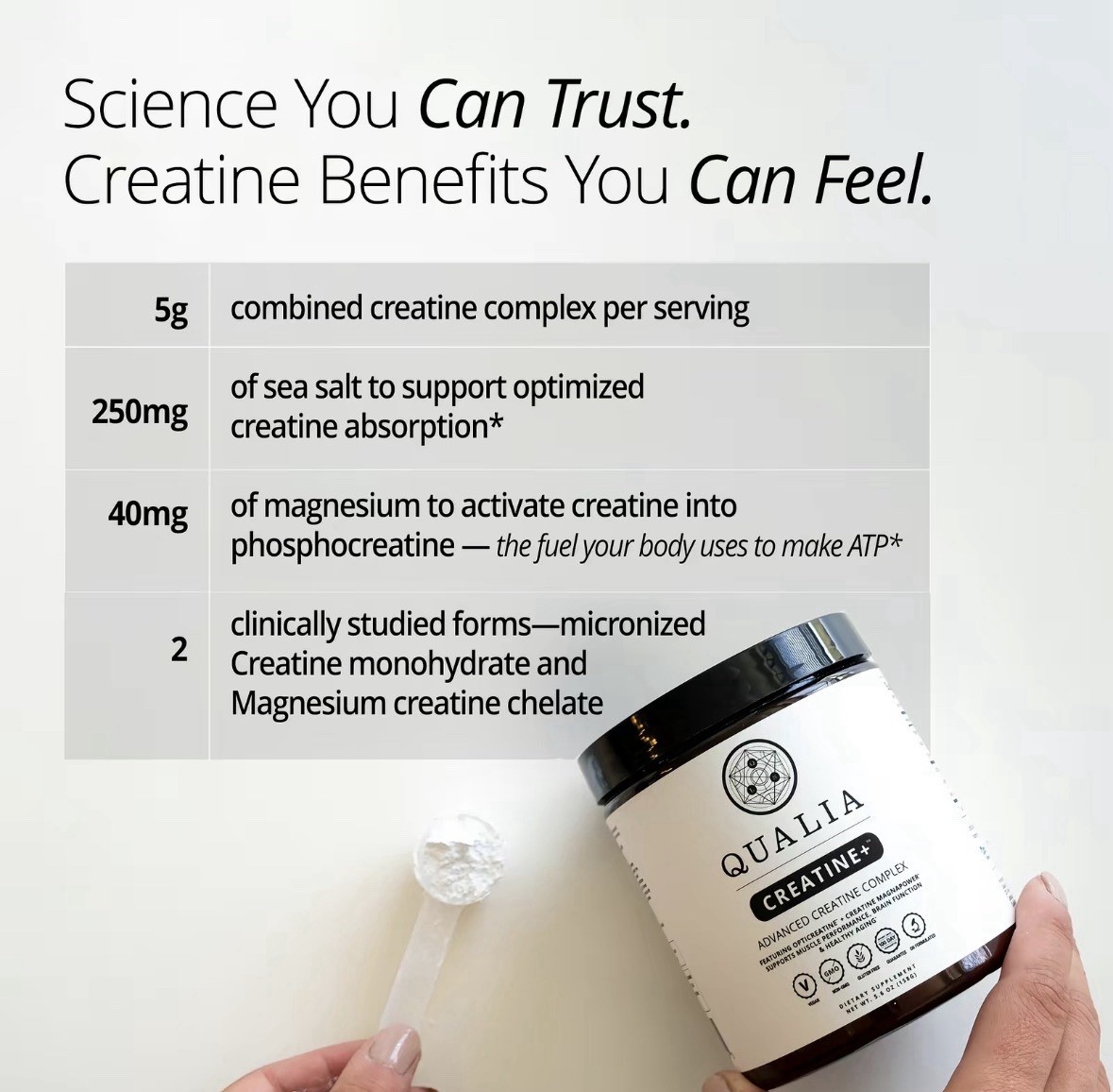 Qualia Creatine | Advanced Creatine Complex | 2 Sources + Magnesium | Optimiz…