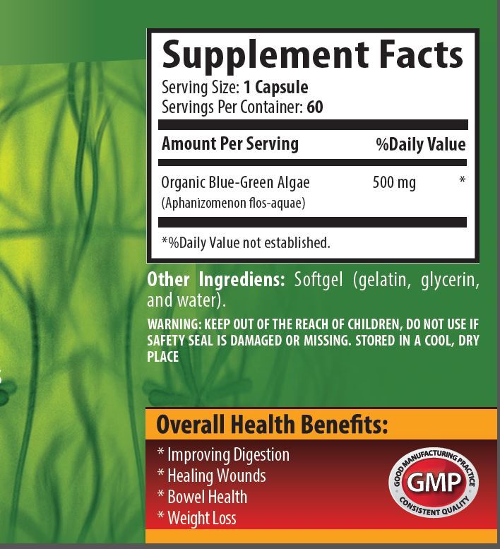 Shields Body From Bacteria – Blue Green Algae 500 – Organic Chorella Powder 6B