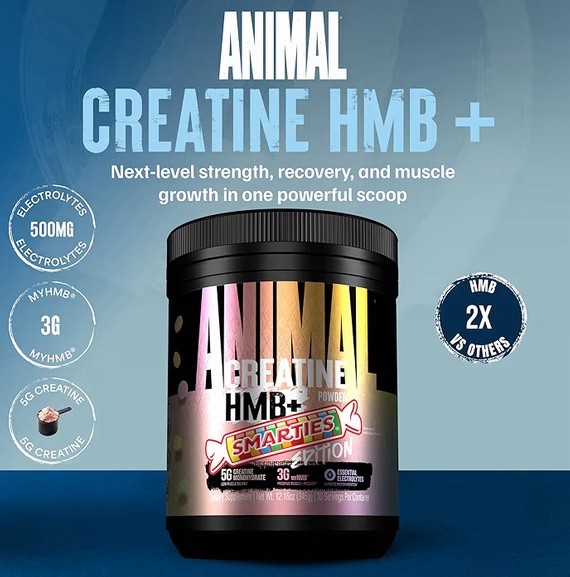 Animal x Smarties Creatine Monohydrate HMB Powder 30 Servings Exp 03/2028
