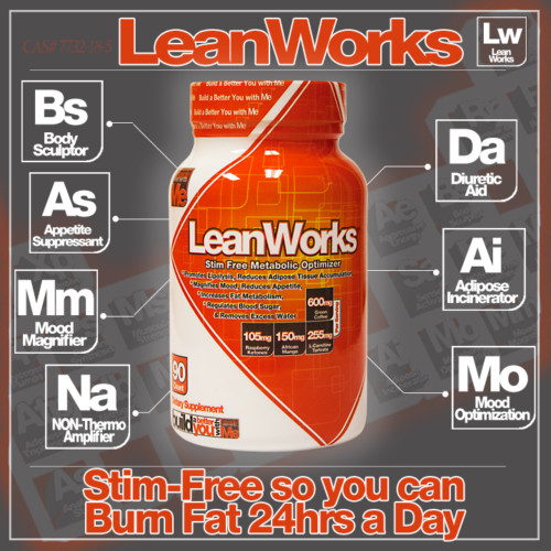 Muscle Elements LEAN WORKS Thermogenic Fat Burner – 90 capsules – SHREDDED AF