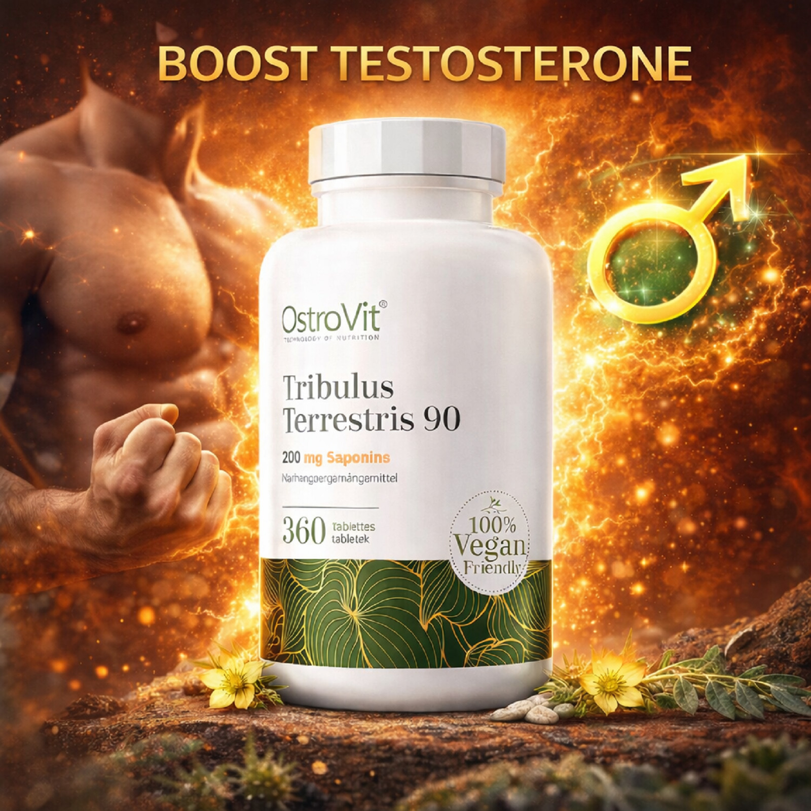 TRIBULUS TERRESTRIS 90 – 360 TAB -Improves sleep, strength and muscle growth