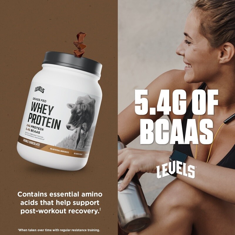 Grass Fed Whey Protein Double Chocolate 24G Protein No Sugar Gluten Free New