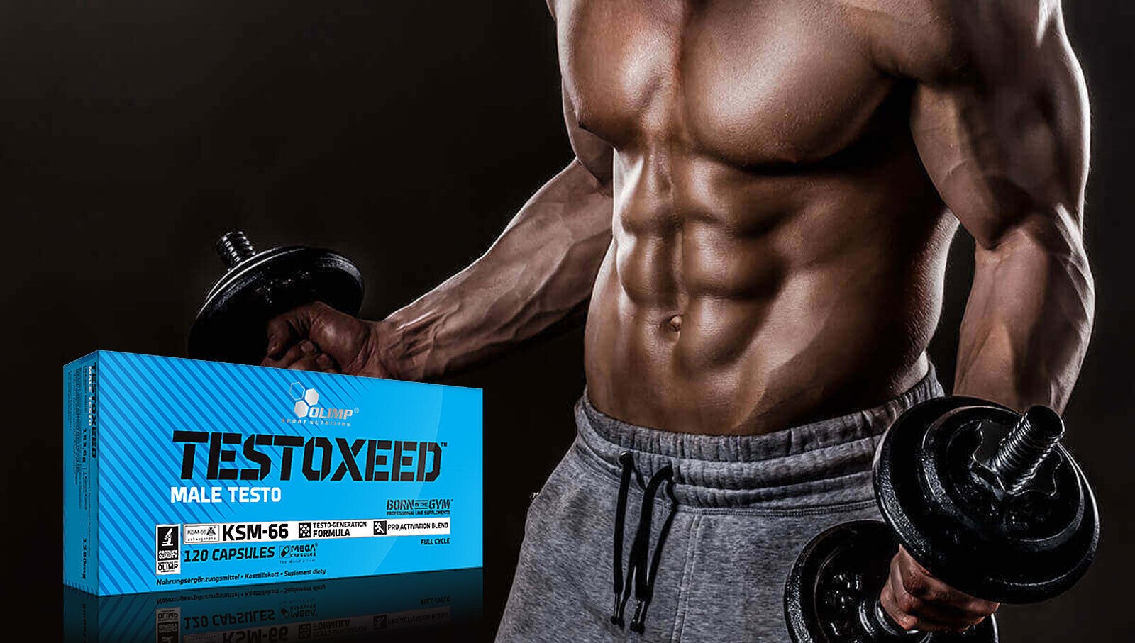 TESTOXEED – 120 Capsules – for man – Testo Booster Muscle Building Male Libido