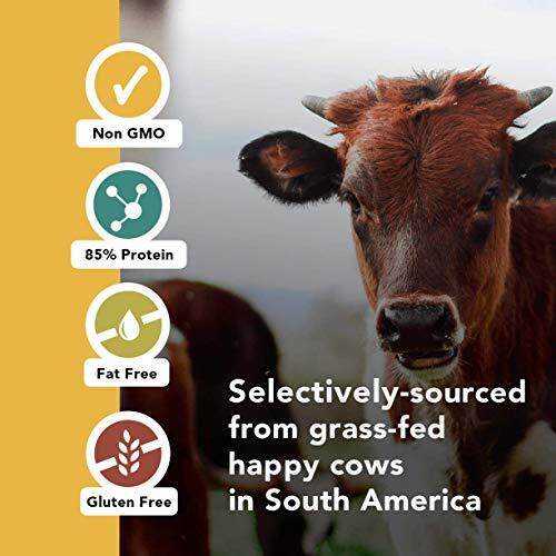 Premium Gelatin COLLAGEN Powder BEEF Grass Fed Unflavored 2.2LB AMANDEAN