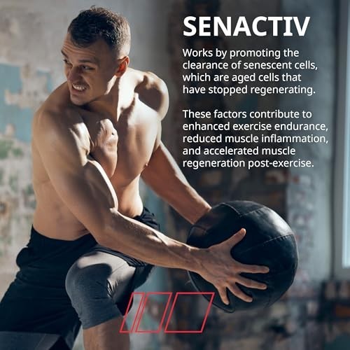 Premium Intra-Workout Drink – EAAs, Cluster Dextrin, Sensoril & Senactiv – Fruit