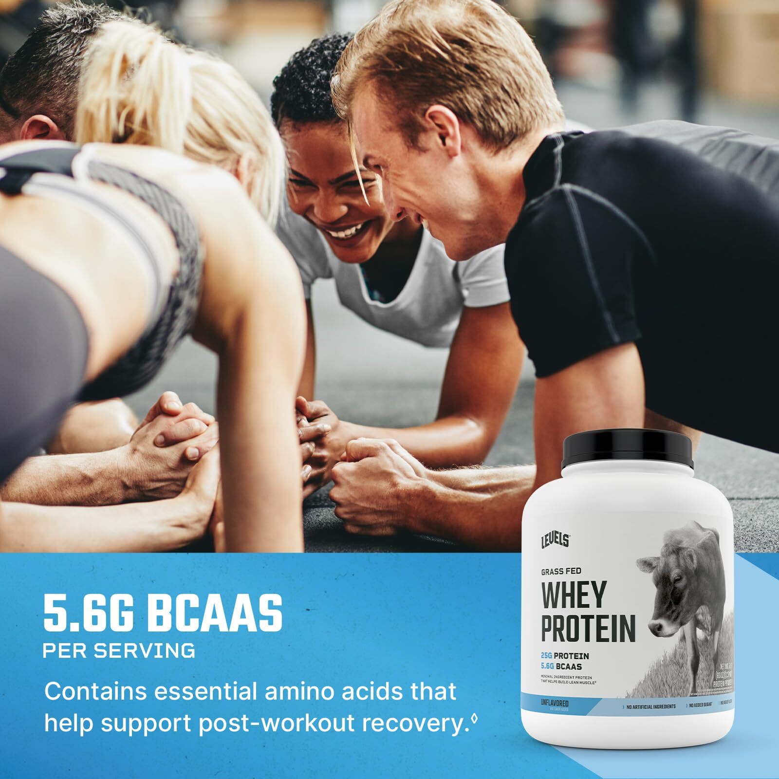 Levels Whey Protein Powder 71 Servings 25g Protein Unflavored Gluten Free