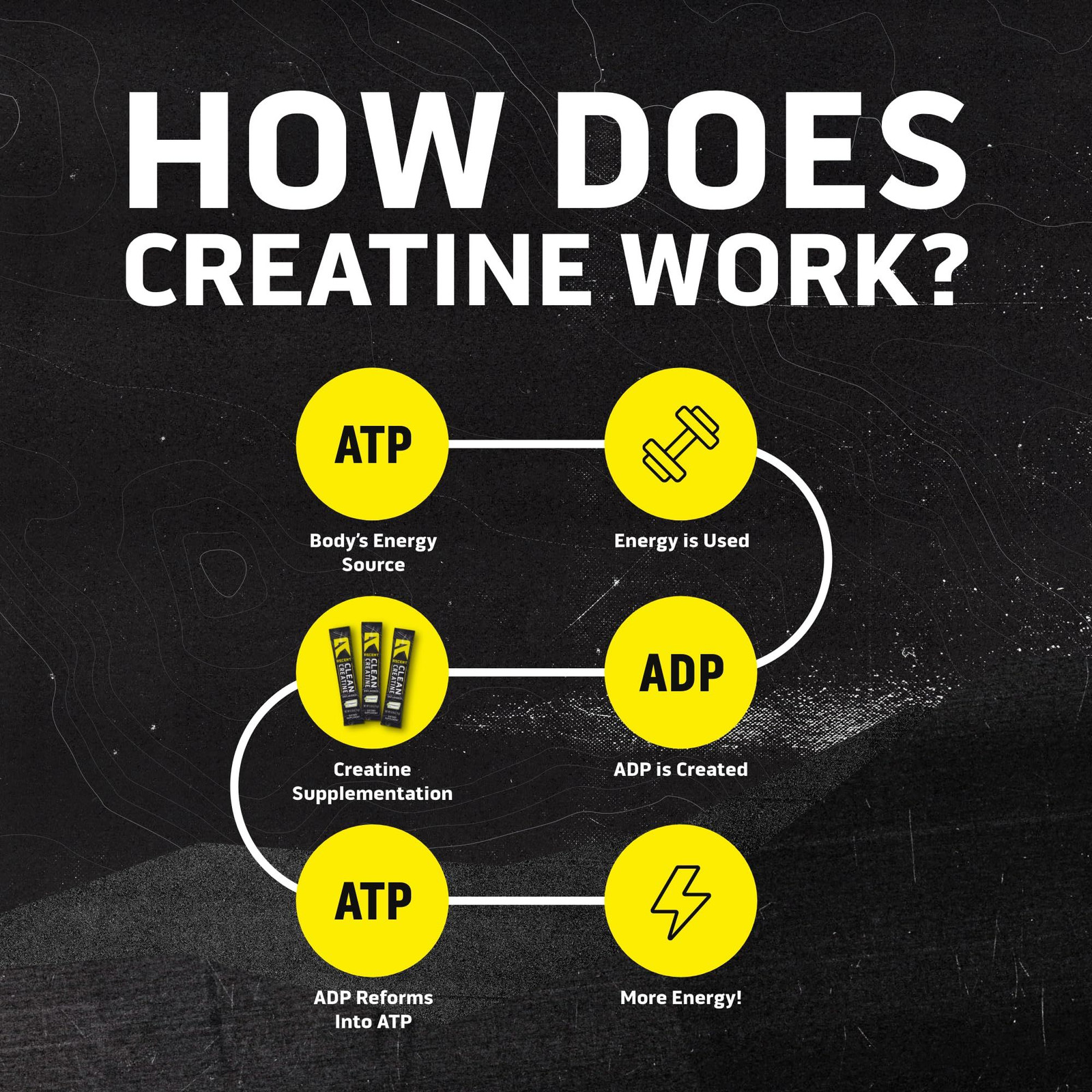 Ascent Clean Creatine Monohydrate Powder – 5G Per 15 Servings (Pack of 1)