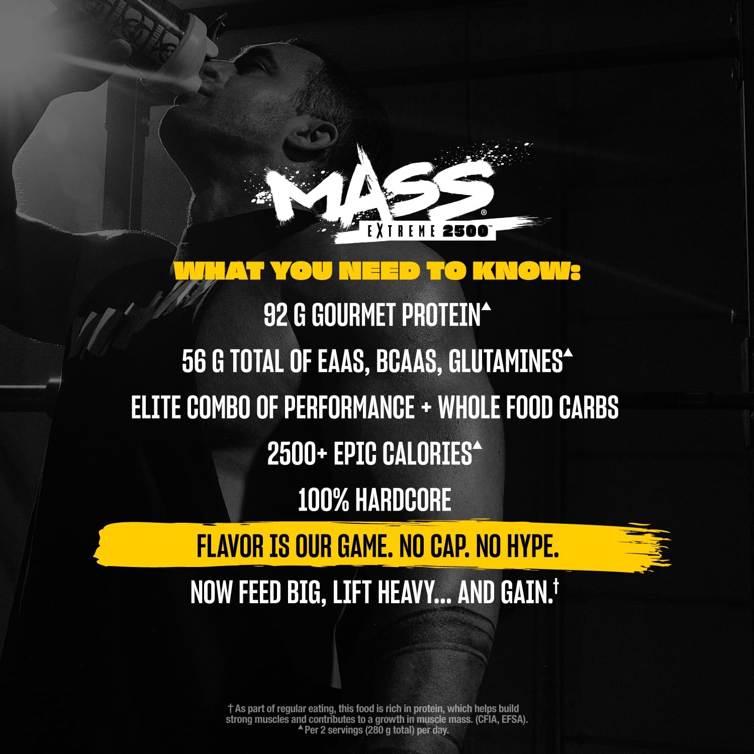 Mass Gainer Whey Protein Powder 2500 High Calorie Triple Chocolate 6 lbs