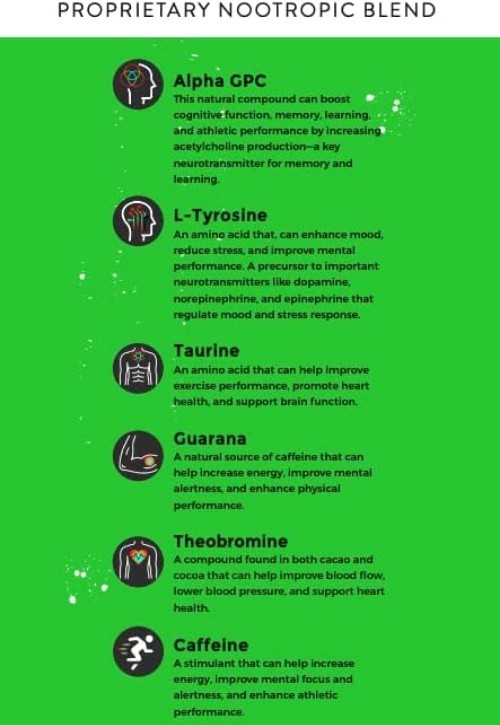 Fully Loaded Alpha Fuel Nootropic Pouches Wintergreen Fuel – Nootropic Energy…