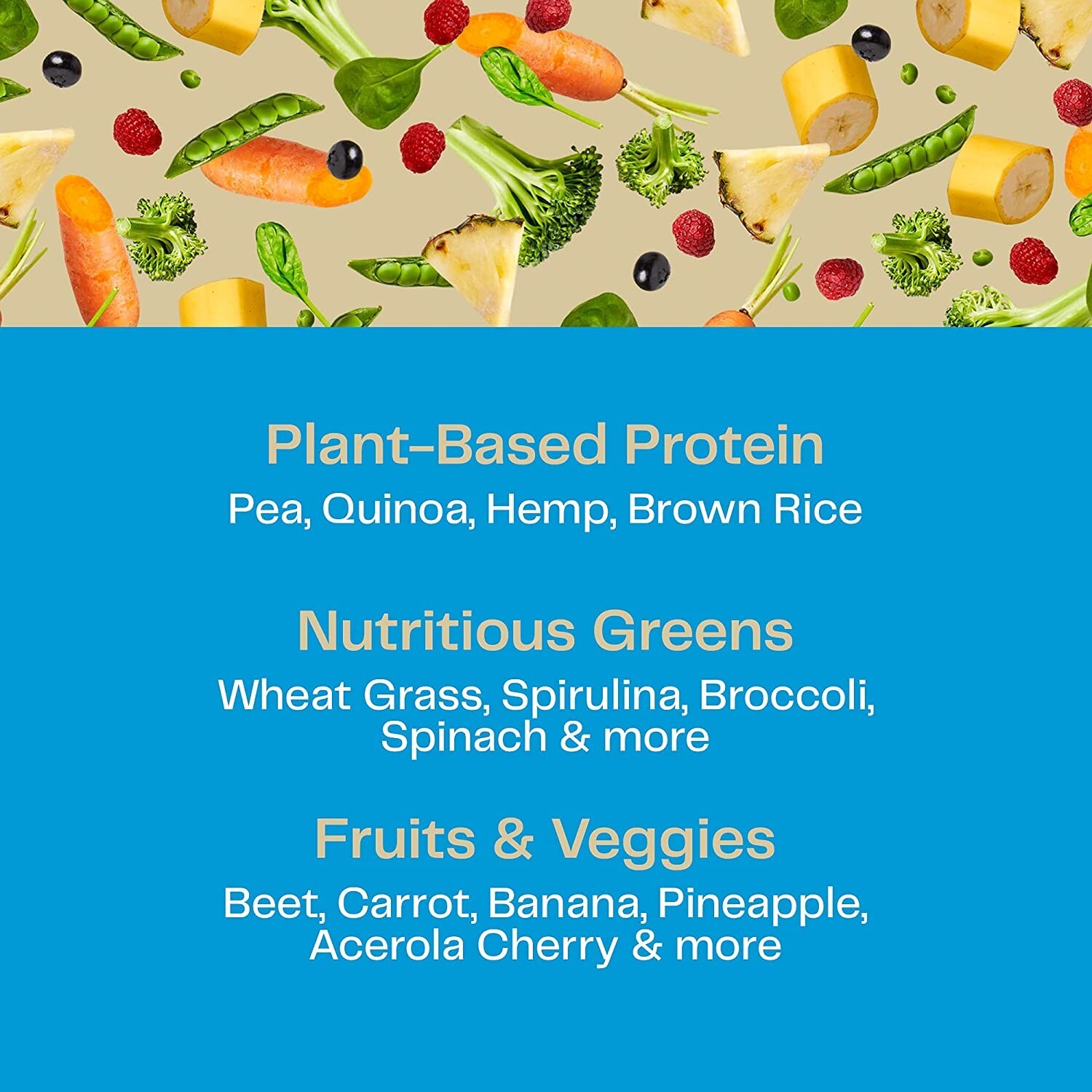 Amazing Grass Organic Plant Protein – NO SUGAR – 11 Servings – Vanilla