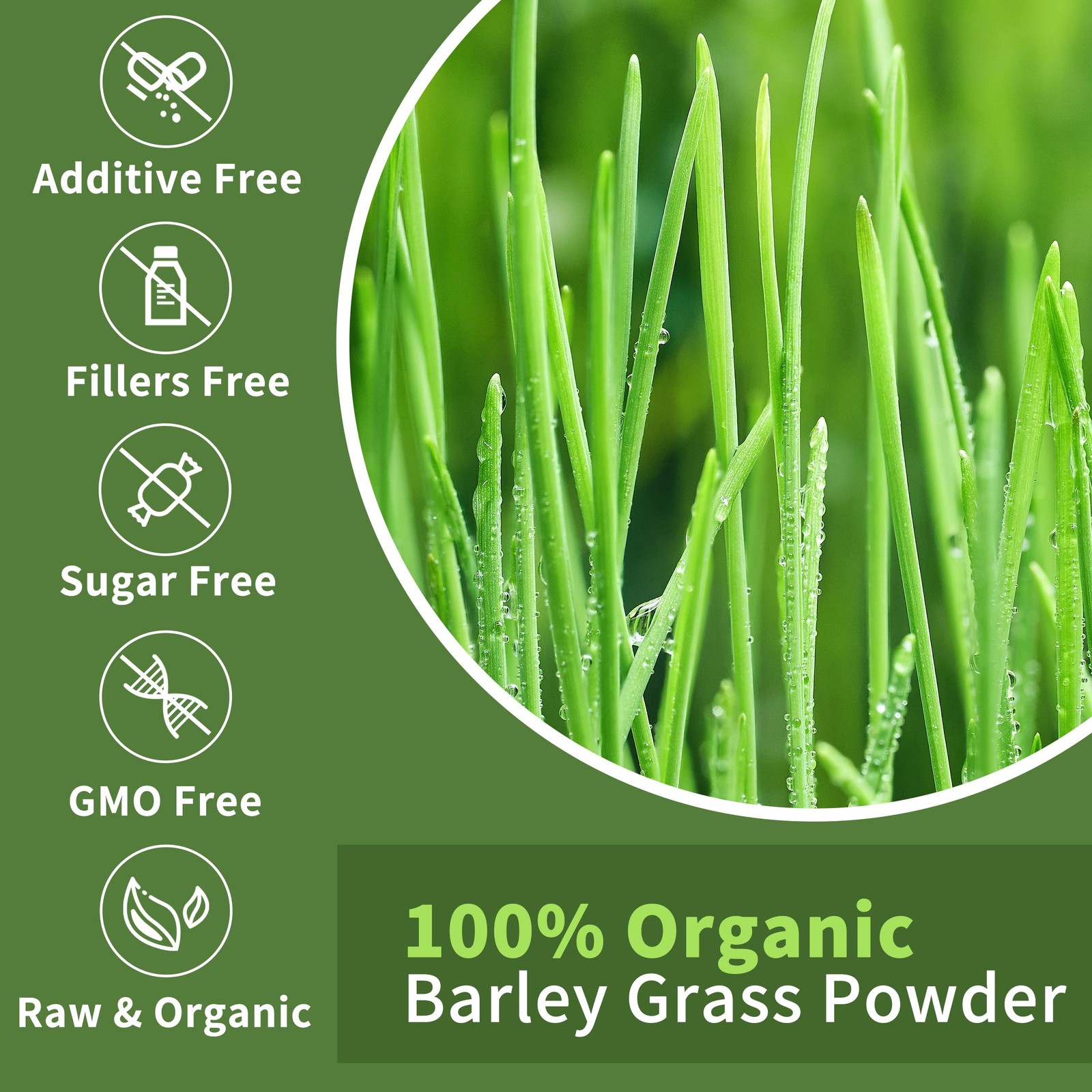 Barley Grass Juice Powder ，Rich in Chlorophyll & Natural 8 Ounce (Pack of 1)