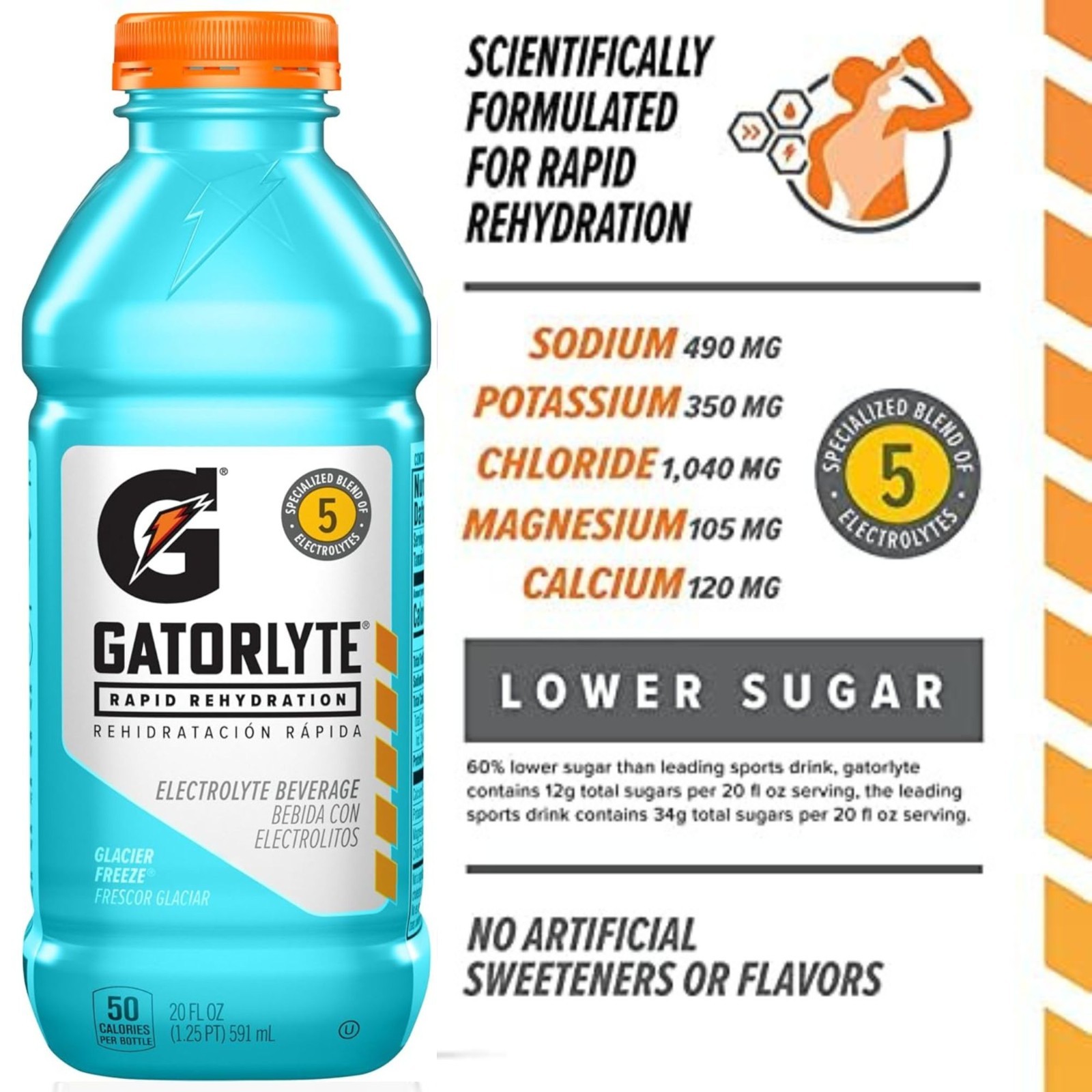 Gatorlyte Rapid Rehydration 6‑Flavor Sampler & Variety Pack – Electrolyte Drink
