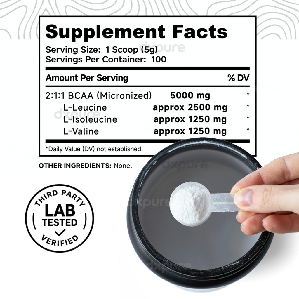 BCAA Powder 500g – Branched Chain Amino Acids – 100 Servings – Unflavored