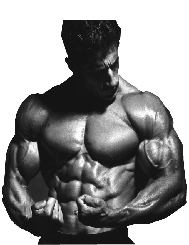 Testosterone booster for men TRIBULUS TERRESTRIS EXTRACT Muscle development 120