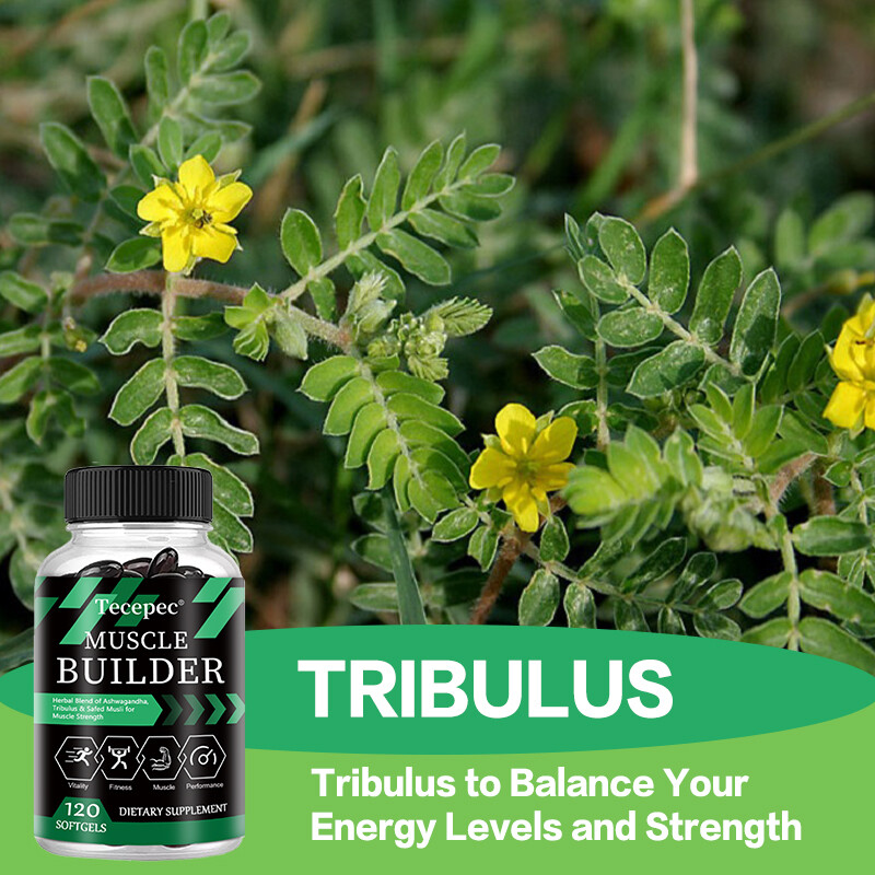 Muscle Builder, Testosterone Booster & Muscle Gain, Energy Capsules