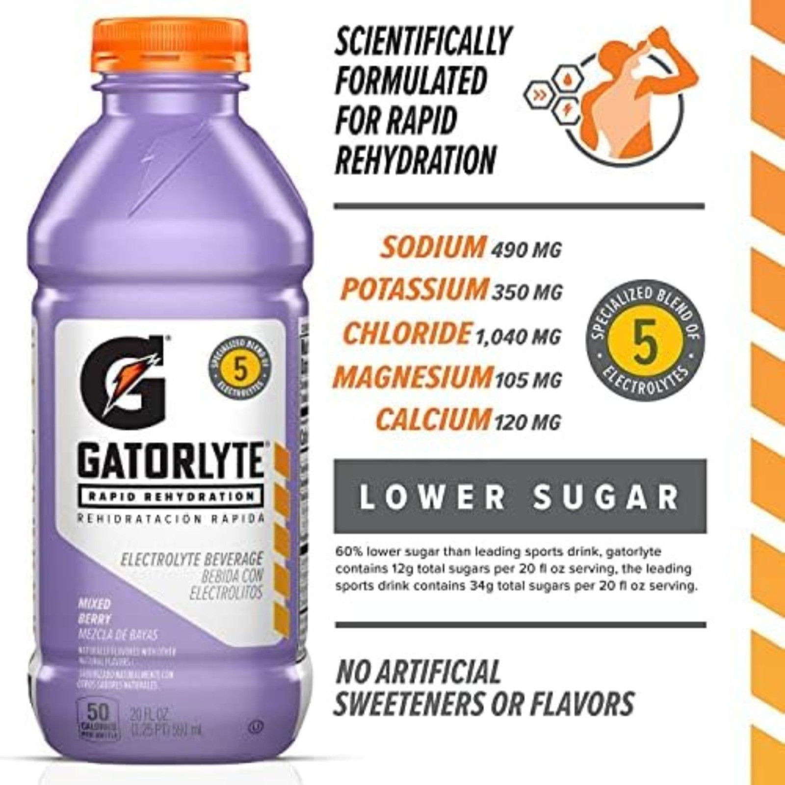 Gatorlyte Rapid Rehydration 6‑Flavor Sampler & Variety Pack – Electrolyte Drink